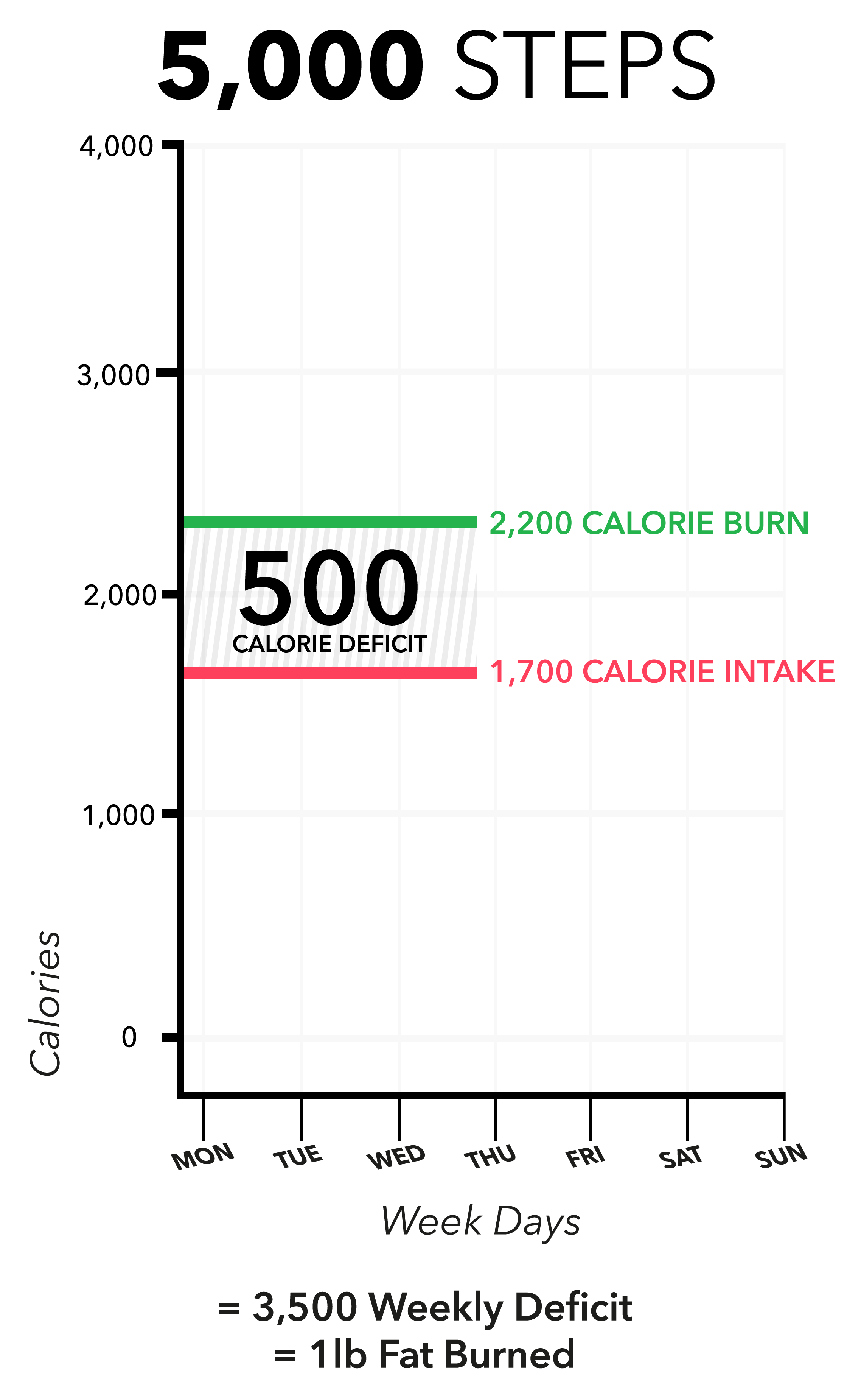 _How-Many-Steps-For-Fat-loss-IMG2.png